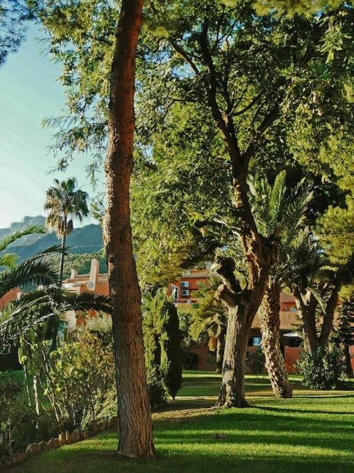 Apartamento Sea Views Penthouse In Placid Natural Setting